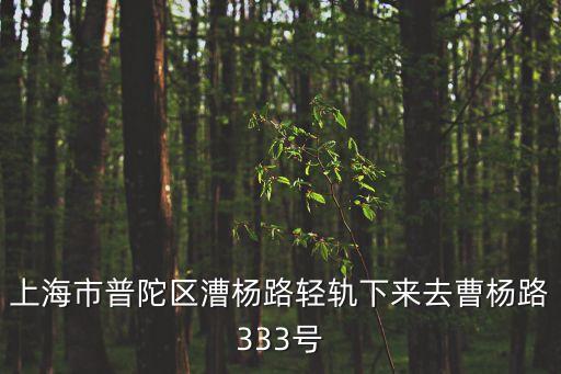 上海市普陀區漕楊路輕軌下來去曹楊路333號