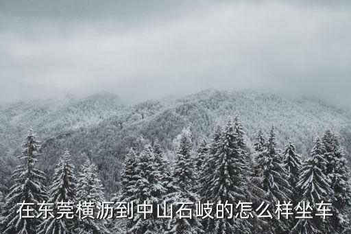 在東莞橫瀝到中山石岐的怎么樣坐車