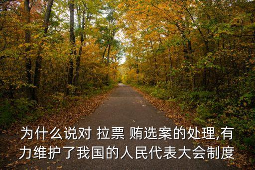 拉票賄選,拉票賄選怎么處理?法律規(guī)定:造成不良影響可被警告