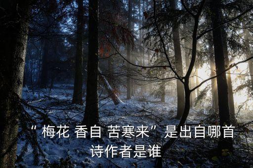 “ 梅花 香自 苦寒來”是出自哪首詩作者是誰