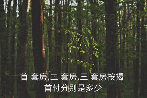 三套房首付比例,北京三套房首付比例是多少?