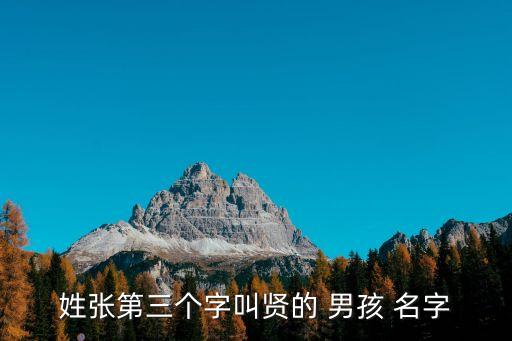 帶賢字的男孩名字,李賢字輩男孩名字帶賢字張瑞賢