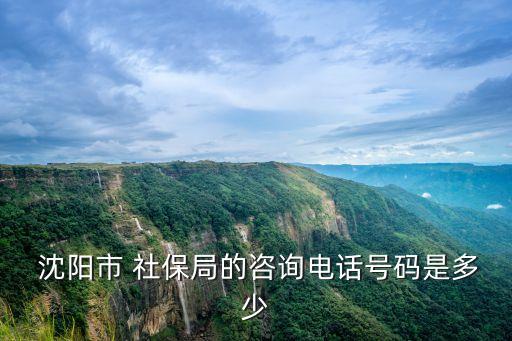 沈陽社保局官網,如何查詢社保信息?
