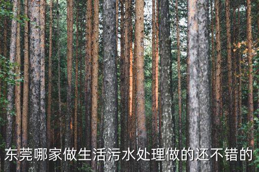 東莞哪家做生活污水處理做的還不錯的