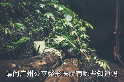 請問廣州公立整形醫院有哪些知道嗎