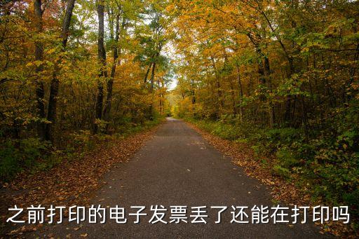 上海市電子發(fā)票補打，之前打印的電子發(fā)票丟了還能在打印嗎
