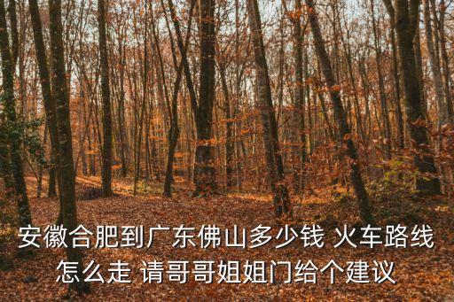 合肥火車站到廣州佛山，合肥有幾班火車到佛山的