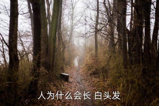 為什么長白頭發,中國古代醫學家:老年人頭發變白多與腎氣有關