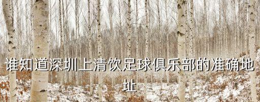 曼聯(lián) 深圳上清飲，誰知道深圳上清飲足球俱樂部的準(zhǔn)確地址