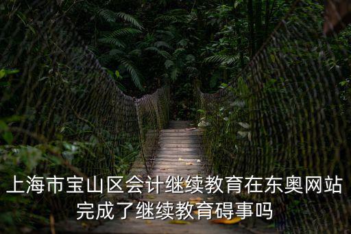 上海市寶山區(qū)會(huì)計(jì)繼續(xù)教育在東奧網(wǎng)站完成了繼續(xù)教育礙事嗎