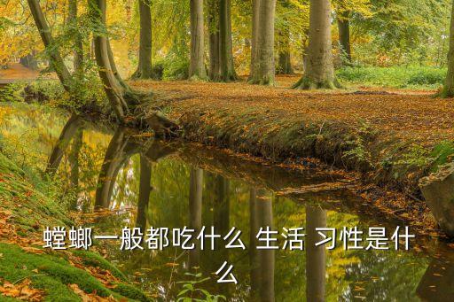  螳螂一般都吃什么 生活 習性是什么