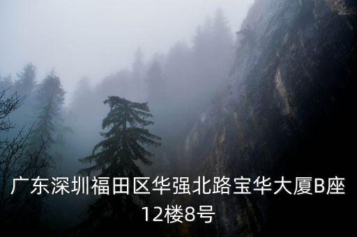 廣東深圳福田區華強北路寶華大廈B座12樓8號