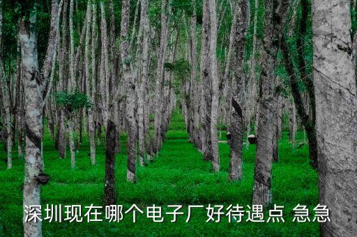 深圳現在哪個電子廠好待遇點 急急