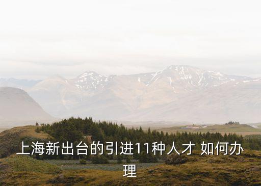 上海新出臺(tái)的引進(jìn)11種人才 如何辦理