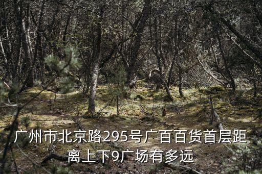 廣州市北京路295號廣百百貨首層距離上下9廣場有多遠