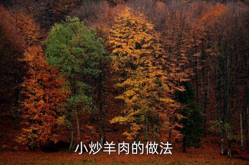 小炒羊肉的做法