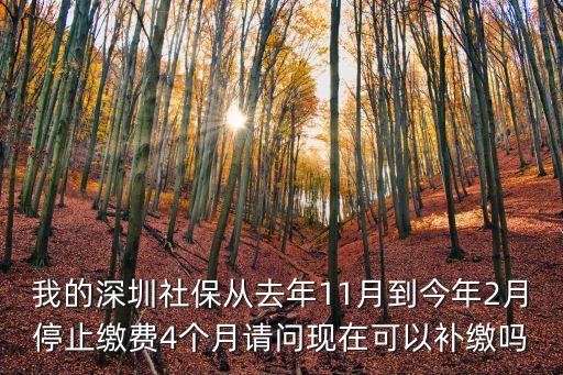 深圳社保2月份延期，社保遲交2月有何啥補救措施
