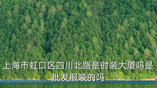 上海市四川北路星薈大廈，上海市虹口區(qū)四川北路是時(shí)裝大廈嗎是批發(fā)服裝的嗎