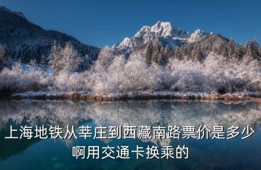 上海市西藏南路555弄價格，上海地鐵從莘莊到西藏南路票價是多少啊用交通卡換乘的