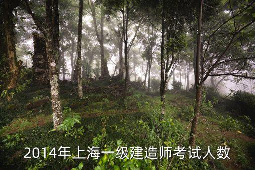 上海市一級建造師有多少人，2014年上海一級建造師考試人數(shù)