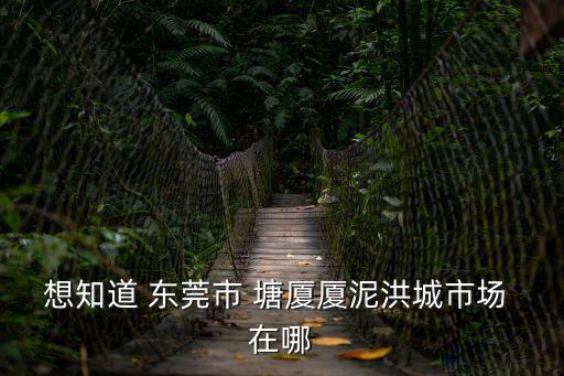 東莞市塘廈鎮交易地塊，有誰了解宏高