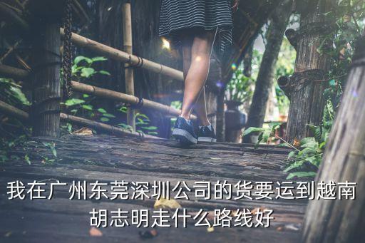 東莞大朗到越南胡志明汽運，我在廣州東莞深圳公司的貨要運到越南胡志明走什么路線好