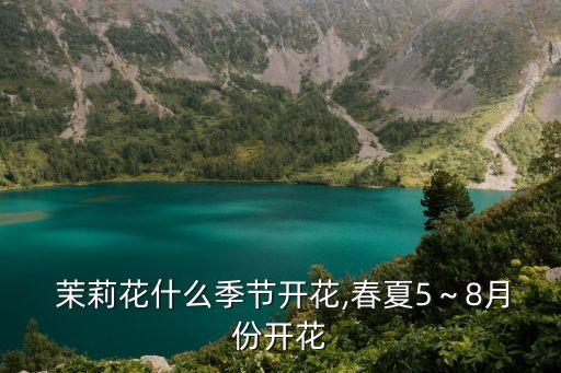  茉莉花什么季節開花,春夏5～8月份開花