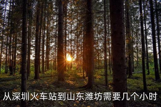 從深圳火車站到山東濰坊需要幾個(gè)小時(shí)