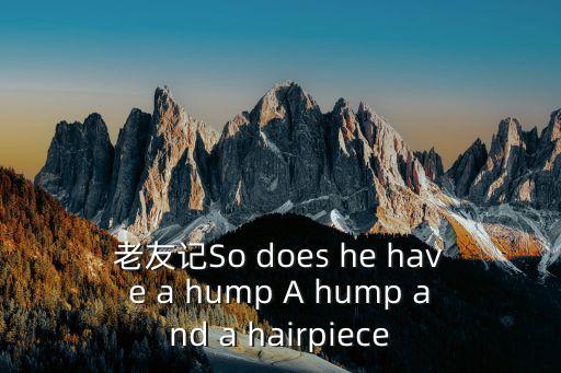 老友記So does he have a hump A hump and a hairpiece