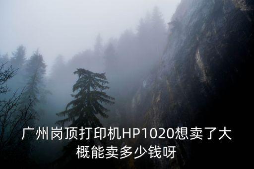 廣州崗頂打印機HP1020想賣了大概能賣多少錢呀