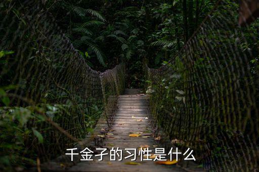  千金孑的習性是什么