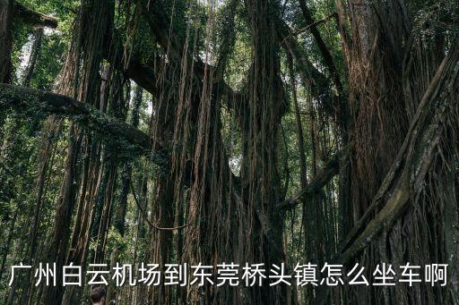 東莞橋頭到白云機場坐什么車，東莞市橋頭鎮到廣州白云機場線路