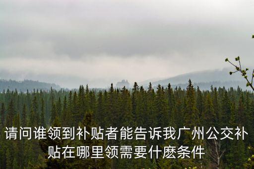 請問誰領到補貼者能告訴我廣州公交補貼在哪里領需要什麼條件