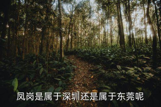 東莞鳳崗鎮與深圳龍崗什么鎮交界，鳳崗是屬于深圳還是屬于東莞呢