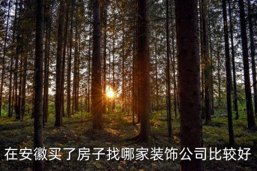 在安徽買了房子找哪家裝飾公司比較好