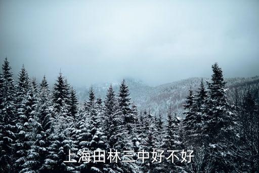 上海市田林三中網站，上海市田林三中這個學校好嗎