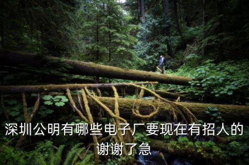 深圳公明有哪些電子廠要現在有招人的謝謝了急