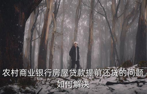 廣州農商銀行 提前還貸，我在廣州農商銀行買房貸款提前還部分剩下的可以改一年期款了嗎