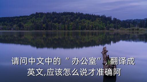 請問中文中的“ 辦公室”, 翻譯成 英文,應該怎么說才準確阿