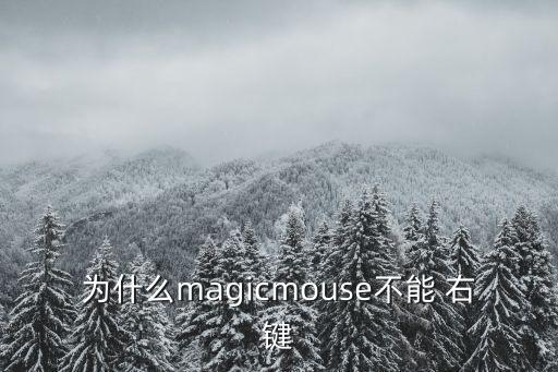 為什么magicmouse不能 右鍵