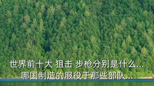 世界前十大 狙擊 步槍分別是什么…哪國制造的服役于那些部隊…