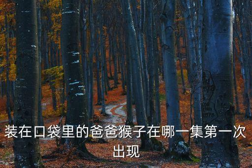 口袋里的爸爸，裝在口袋里的爸爸里不可思議的想象是指什么