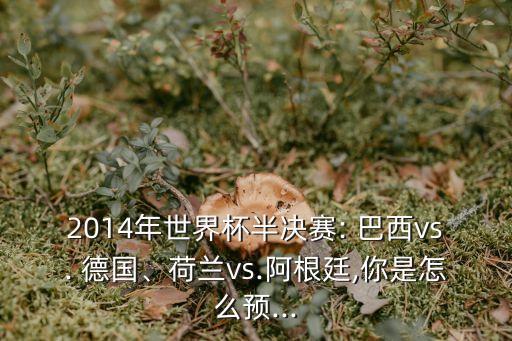 2014年世界杯半決賽: 巴西vs. 德國、荷蘭vs.阿根廷,你是怎么預...