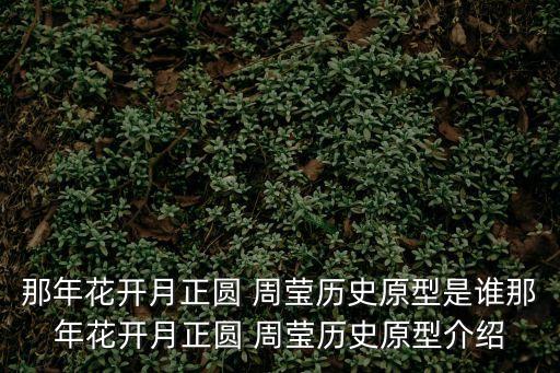 歷史上的周瑩,歷史上真實的周瑩結局是什么?