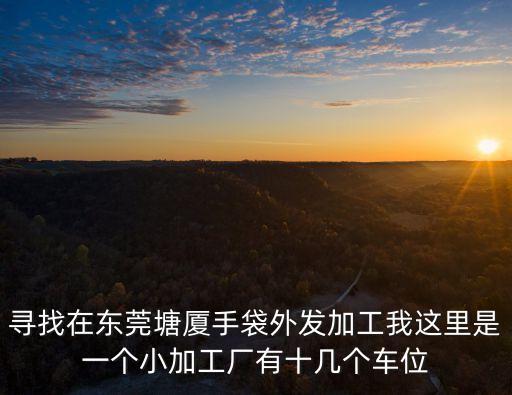 尋找在東莞塘廈手袋外發加工我這里是一個小加工廠有十幾個車位