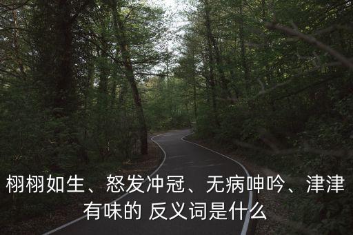 栩栩如生、怒發沖冠、無病呻吟、津津有味的 反義詞是什么