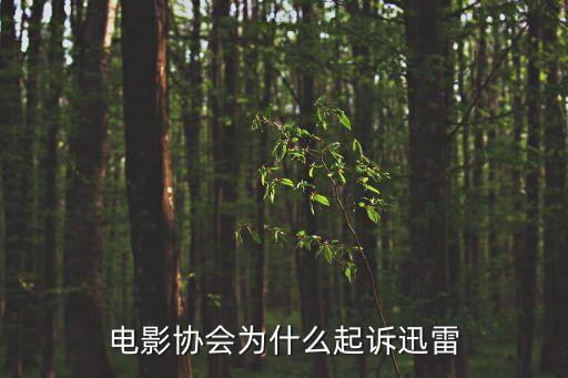 深圳華納兄弟，深圳地鐵會展中心B出口的影院叫什么