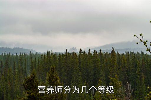 國際注冊營養師,注冊國際i營養師國內認可度比aci高一些