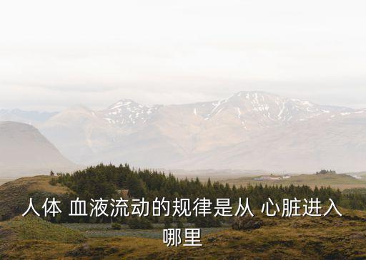 心臟的血液循環(huán)流程圖,動物心臟的血液循環(huán)流程圖