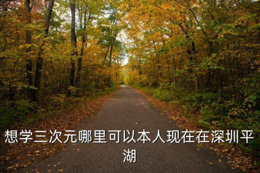 想學(xué)三次元哪里可以本人現(xiàn)在在深圳平湖